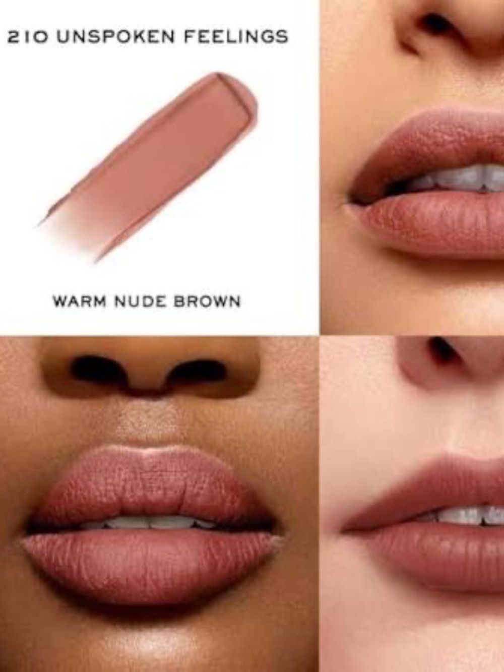 Lancôme L'Absolu Rouge 210 "Unspoken Feelings" (Intimatte) - Click-to-Open-Case
